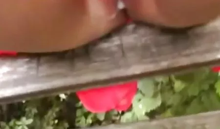 شما مراقبت از سگ دانلود فیلمهای سکسی دوجنسه ؟