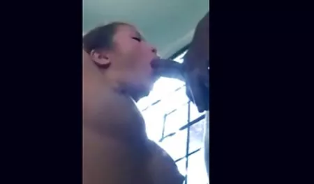 کمک به دوجنسه گروهی باردار شدن