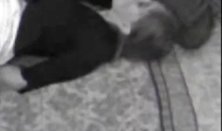 در یک نوار نوار در سکس گروهی دوجنسه ها معرض ،