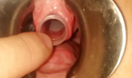 پس از حزب فیلم سکسی زنان دوجنسه