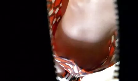 در استخر و لذت بردن از یک کمی سکی دوجنسه شلخته.