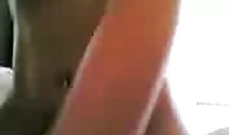 بچه گربه ناز در زمان عکس سکسی زنان دوجنسه پنجه