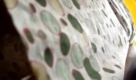 پسر عموی من سکس زنان دوجنسه باهم مانند برهنه